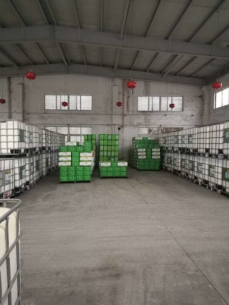 الصين Shenzhen Taiqiang Investment Holding Co., Ltd ملف الشركة
